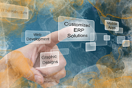 07-Customized ERP Solutions